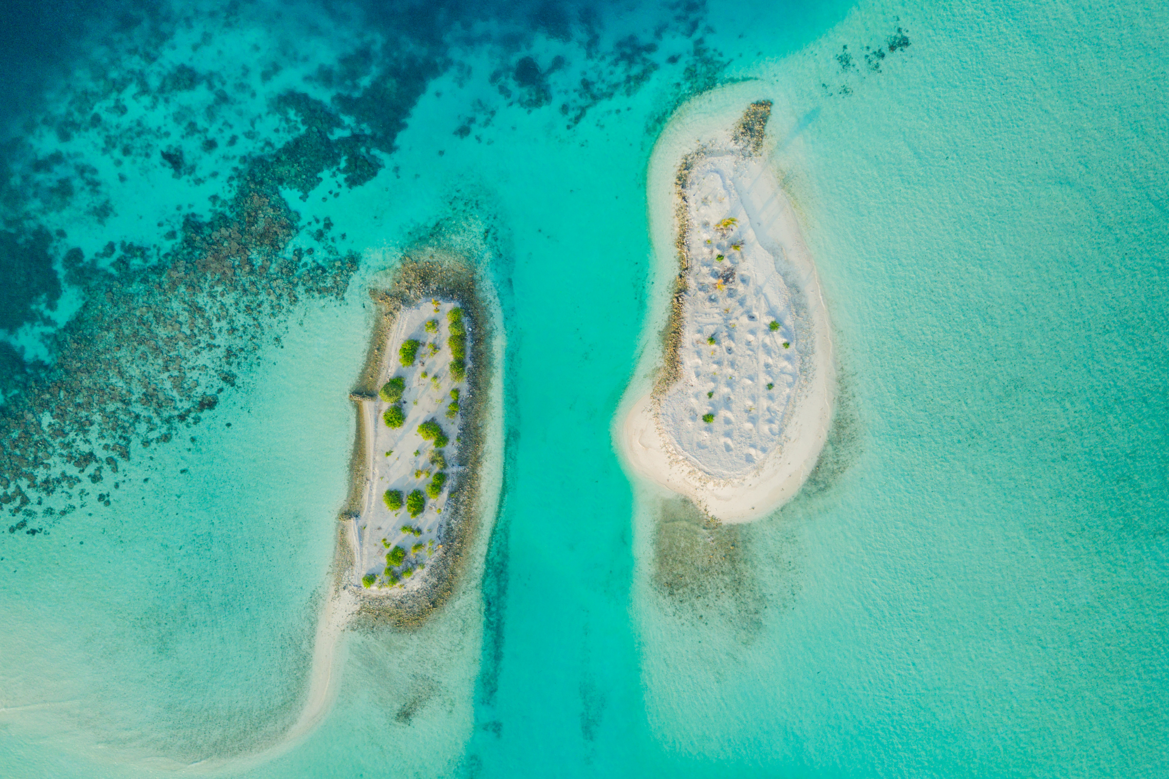 south male atoll (3).webp